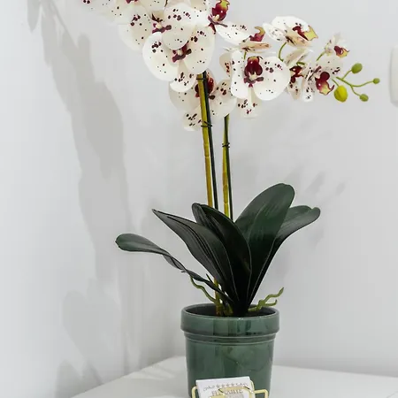Luxury Floramye